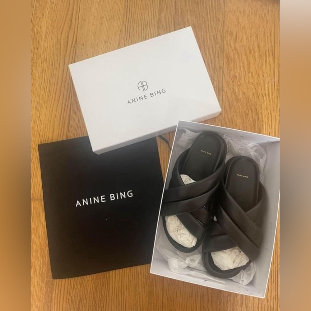ANINE BING Lizzie Slides NWT